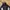 Head Streetwear Sportswear Track jacket Pria white black photo 5