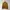 Uniqlo Minimalist Casual Sweatshirt Pria gold photo 2