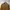 Uniqlo Minimalist Casual Sweatshirt Pria gold photo 4