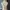 Vintage Luxury Evening dress Wanita tan photo 5