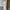 Fairy Coquette Going out dress Wanita pink photo 1