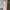Fairy Coquette Going out dress Wanita pink photo 2