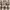 Spao Luxury Casual dress Wanita red brown photo 3