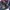 Sportswear Windbreaker Pria navy photo 7