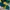 Oioi Streetwear Casual Sweatshirt Pria green yellow photo 5