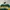 Oioi Streetwear Casual Sweatshirt Pria green yellow photo 4