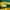 Oioi Streetwear Casual Sweatshirt Pria green yellow photo 7