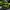 Oioi Streetwear Casual Sweatshirt Pria green yellow photo 1