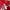 Adidas Vintage Sportswear Jersey Pria red photo 4