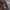 Japanese brand Sportswear Glove Pria red black photo 2