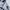 Yonex Sportswear Windbreaker Pria white photo 4