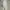 Uniqlo Casual High waisted jeans Wanita white photo 4