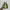 Nike Sportswear Sneakers Pria multicolor white photo 2