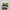 Nike Sportswear Sneakers Pria multicolor white photo 4