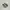 Nike Sportswear Sneakers Pria multicolor white photo 1