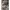 Nike ACG Sportswear Hat Pria green photo 8