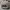 Nike ACG Sportswear Hat Pria green photo 7