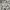 Made in USA Streetwear Sportswear Short Pria cream photo 3