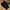 Oakley Streetwear Sportswear Short Pria black photo 2