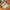 Nike Streetwear Sportswear Sneakers Pria tan cream photo 1