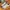 Nike Streetwear Sportswear Sneakers Pria Tan Cream