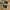 Nike Streetwear Sportswear Sneakers Pria tan cream photo 6