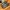 Nike Streetwear Sportswear Sneakers Pria tan cream photo 5
