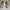 Minimalist Wanita brown photo 3