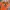 Vintage Y2K T-shirt Pria orange photo 4