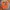 Vintage Y2K T-shirt Pria orange photo 1