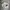 Minimalist Wanita white photo 1