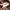 Blackyak Gorpcore Track jacket Pria tan brown photo 3