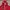 Polo Ralph Lauren Emo Sweater Pria red photo 2