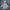 Adidas Streetwear Hoody Pria gray photo 4