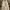 H&M Coquette Casual Bodycon dress Wanita cream photo 1