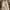 H&M Coquette Casual Bodycon Dress Wanita Cream