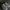Kenzo Streetwear Sneakers Wanita white black photo 4