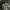 Kenzo Streetwear Sneakers Wanita white black photo 1