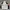 Streetwear Sportswear Windbreaker Pria White Red