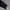 Dunlop Streetwear Casual Track jacket Pria white black photo 4