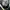 Rick Owens Avant Garde Sneakers Pria white black photo 4