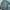 Back Number Vintage Streetwear Parka Pria green photo 5