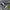 VANS Streetwear Sneakers Wanita white black photo 1