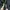 Moncler Luxury Casual Parka Pria black photo 3