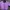 Minimalist Casual Bomber Jacket Pria Purple