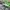 Kappa Sportswear Sweater Pria green gray photo 3