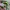 Kappa Sportswear Sweater Pria green gray photo 4
