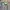 Kappa Sportswear Sweater Pria green gray photo 2