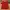Dickies Vintage Streetwear Short Pria red photo 3