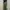 Uniqlo Streetwear Tracksuit Pria green photo 5